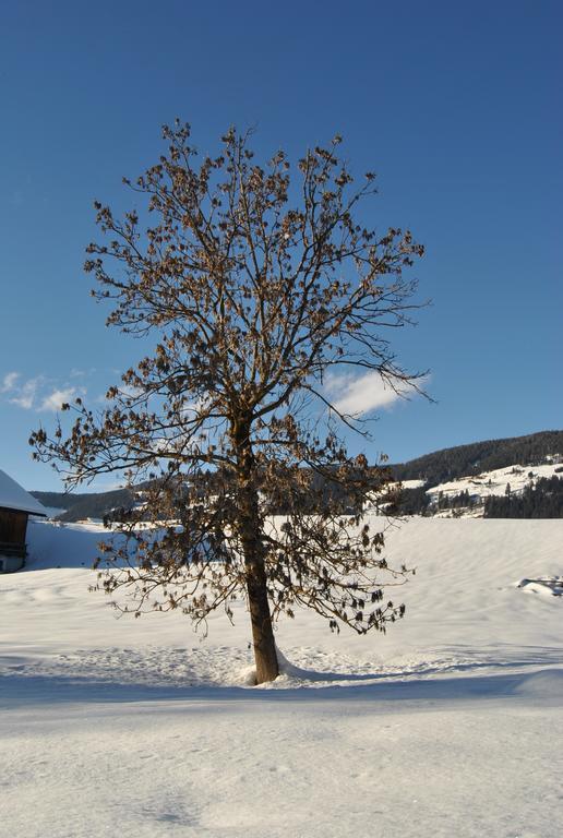 Trogerhof Apartment Dobbiaco Luaran gambar